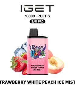BAR PRO 10000 BLACKBERRY YOGURT ICE BERRY