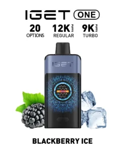 IGET ONE Vape 12000 PUFFS BLUEBERRY ICE