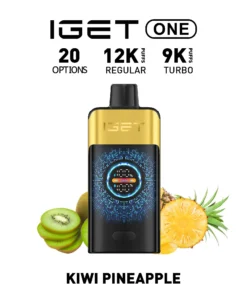 IGET ONE Vape 12000 PUFFS KIWI PINEAPPLE